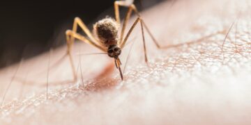 Acumula Puebla 3 mil 343 casos por dengue en 2024