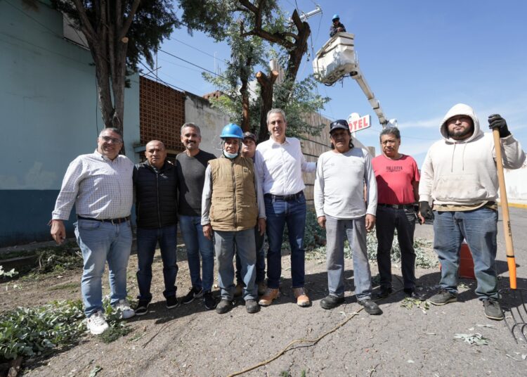 Alcalde supervisa acciones por la posible caída de un árbol en la colonia Resurgimiento