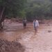 PC reporta afectaciones por lluvias en diferentes municipios