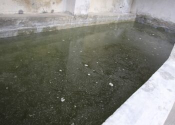 Reportan 28 casos de dengue y una persona hospitalizada