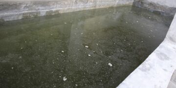 Reportan 28 casos de dengue y una persona hospitalizada