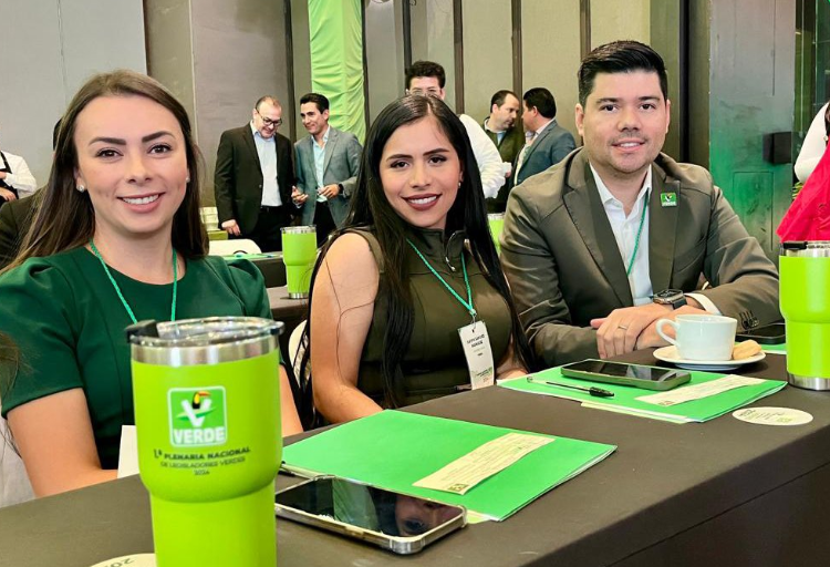 Verde pide no usar tribuna legislativa para justificar errores en el Ayuntamiento: Natale
