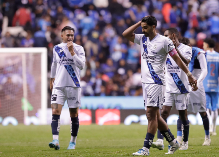 Caos, desorden y pepena