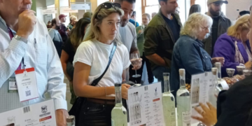 Participa mezcal poblano en festival en Canadá: SDR