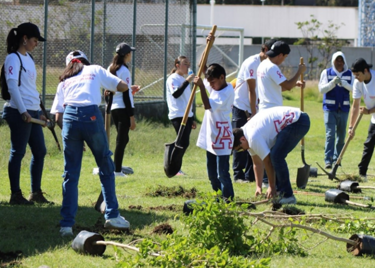 Anáhuac Puebla reforesta en colaboración con el Colegio Mano Amiga
