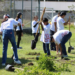 Anáhuac Puebla reforesta en colaboración con el Colegio Mano Amiga