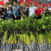 Más de 3 mil árboles se distribuyen en Puebla bajo iniciativa de Armenta