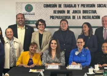 Contacto con base trabajadora, prioridad de la Comisión de Trabajo y Previsión Social en San Lázaro: Maiella Gómez