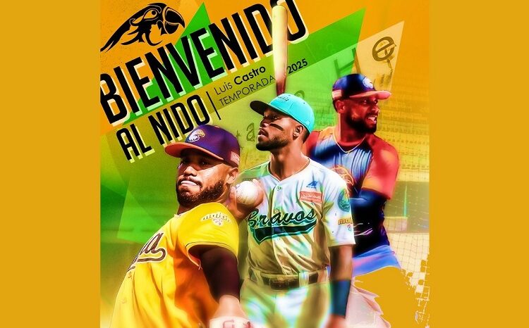Luis Castro, primer refuerzo de Pericos para 2025