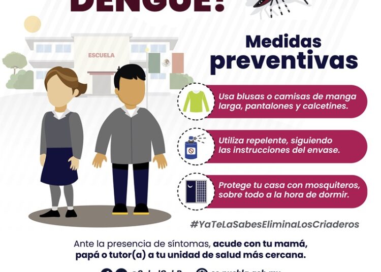 Tehuacán e Izúcar de Matamoros, con mayor incidencia de dengue: Salud