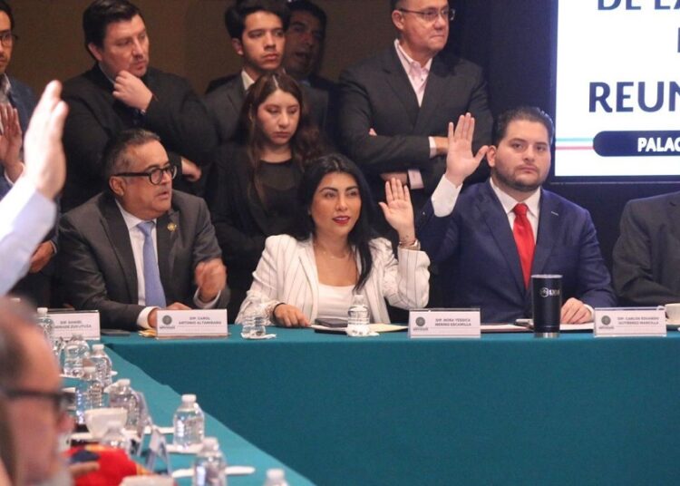 Nora Escamilla será secretaria de Comisión de la ASF