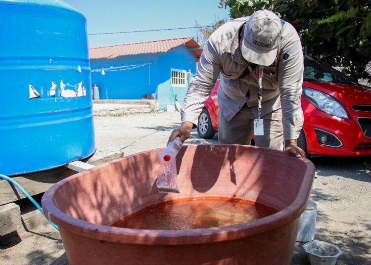 Reportan 32 casos de dengue y 31 personas hospitalizadas