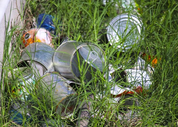 Reportan 51 casos de dengue y 10 personas hospitalizadas