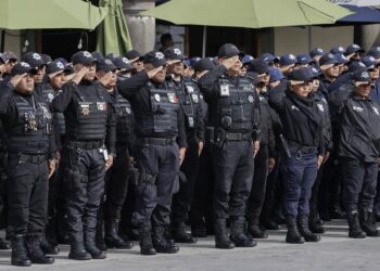 Alcaldes deben verificar certificación de sus policías
