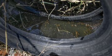 Tehuacán, municipio con mayor incidencia de dengue