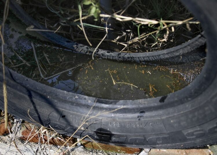 Tehuacán, municipio con mayor incidencia de dengue