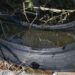Tehuacán, municipio con mayor incidencia de dengue