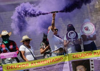 Colectivos demandan al Congreso crear registro de deudores alimentarios