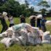 EE.UU. dona a Colombia otros 100.000 dólares para damnificados por lluvias en el Chocó