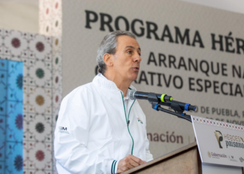 Administración anterior tendrá que solventar observaciones por hoyo financiero: Pepe Chedraui