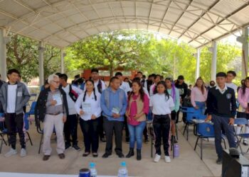 Es importante estudiar en la Universidad