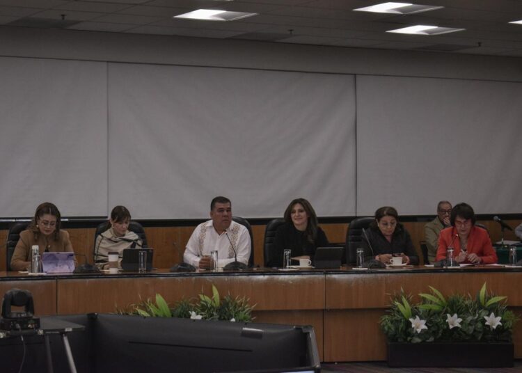 La 4T cumple con programas sociales que ya son un derecho constitucional: Maiella Gómez