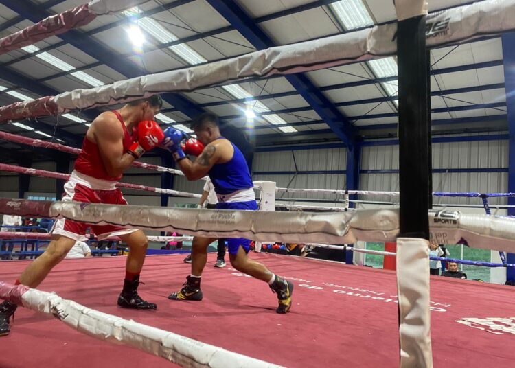 Torneo Guantes de Oro de Boxeo confirma rotundo éxito