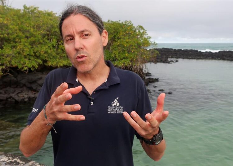 Turismo de buceo en las Islas Galápagos está bajo la lupa de los científicos