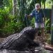 El cocodrilo más grande del mundo fallece en un centro de animales en Australia