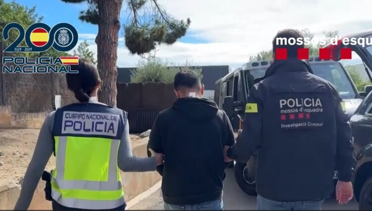 Detienen en España a 14 presuntos miembros del Cártel de Sinaloa