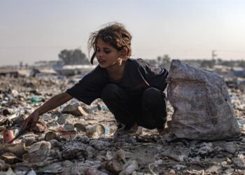 24 muertos y 71 heridos por los últimos ataques de Israel en Gaza