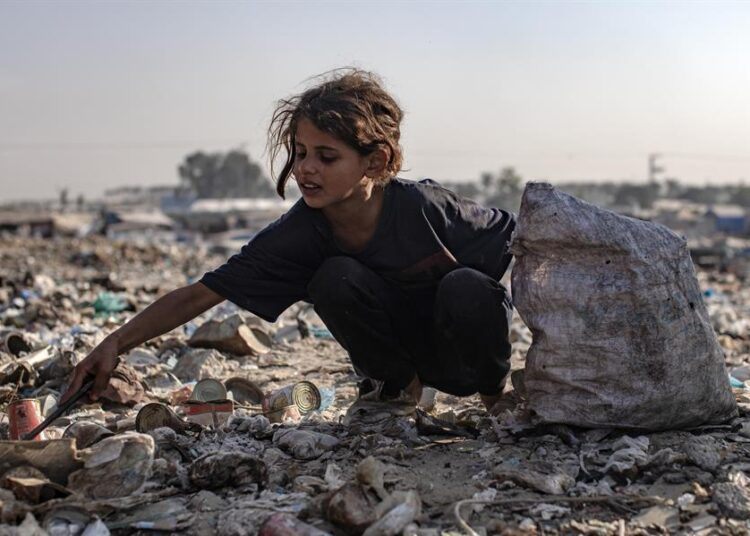 24 muertos y 71 heridos por los últimos ataques de Israel en Gaza