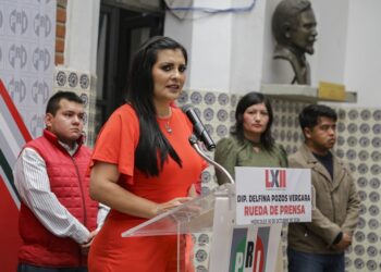 Delfina Pozos impulsará figuras de representación de comunidades migrantes