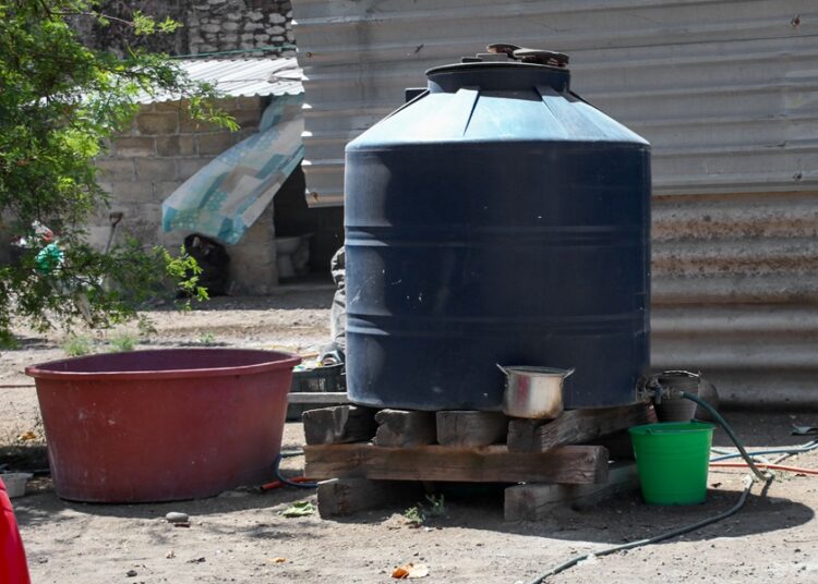 Reportan 4 mil 257 casos acumulados de dengue