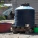 Reportan 4 mil 257 casos acumulados de dengue
