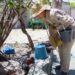 Dengue, presente en 80 municipios de Puebla