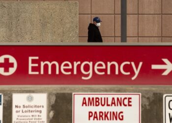 Un adolescente, primer caso de gripe aviar de Canadá, en estado crítico