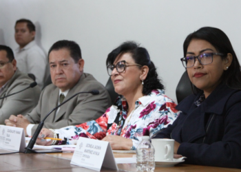 Avalan en Comisión que municipios cumplan con Ley de Imagen Institucional 