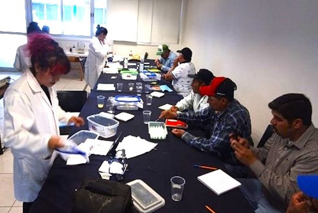 Granjas Carroll lanza iniciativa de control biológico con Crisopas