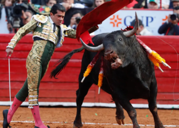 Prohibición de corridas de toros y peleas de gallo es urgente: Jaime Natale