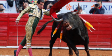 Prohibición de corridas de toros y peleas de gallo es urgente: Jaime Natale