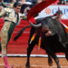 Prohibición de corridas de toros y peleas de gallo es urgente: Jaime Natale