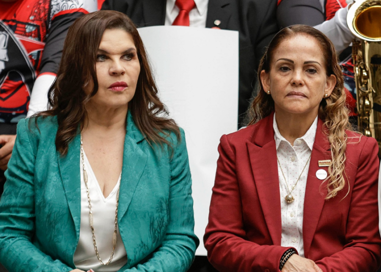 Los retos de Morena