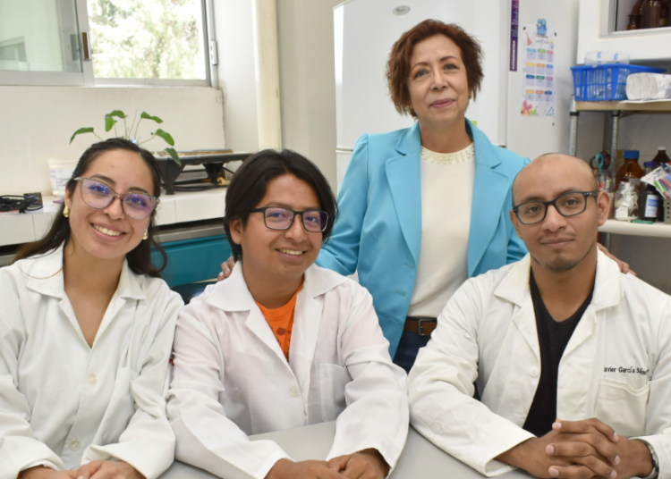 Evalúan eficacia de moringa, aloe, naranja y ajo en inhibición de E. coli uropatógena