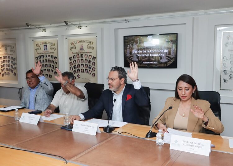 Cancelan proceso de elección del Consejo Consultivo de la CDH de Puebla