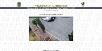Vinculan a proceso a hombre que causó la muerte de una perrita en Atlixco