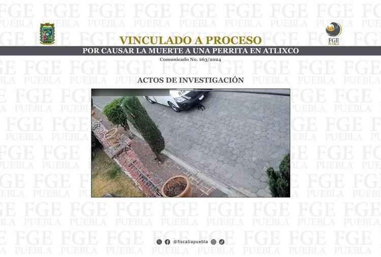 Vinculan a proceso a hombre que causó la muerte de una perrita en Atlixco