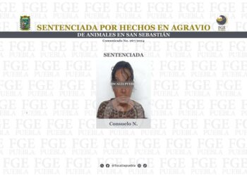 Sentencian a mujer que mataba perros y gatos en Bosques