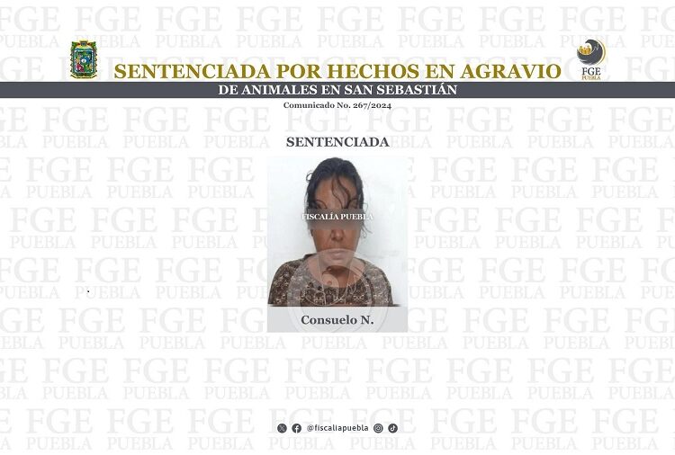Sentencian a mujer que mataba perros y gatos en Bosques