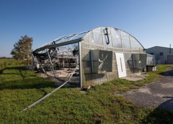 Pérdidas agrícolas en Florida por el huracán Milton pueden superar los 600 millones
